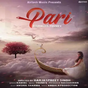Pari Hai image