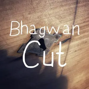 Cut image
