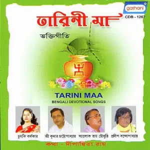 Tarini Ma image