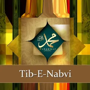 Tib-e-Nabvi, Vol. 2 image