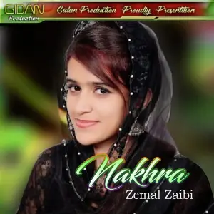 Nakhra Zeemal Zaibi