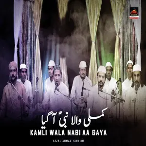 Kamli Wala Nabi Aa Gaya image