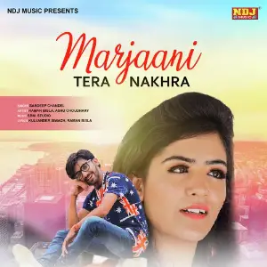 Marjaani Tera Nakhra image