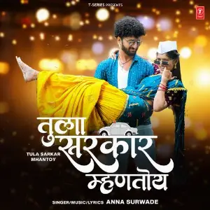 Tula Sarkar Mhantoy image
