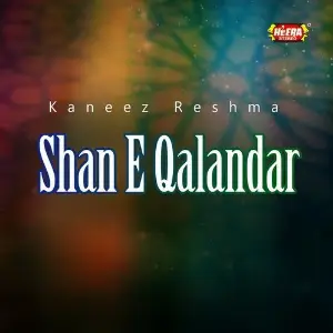 Shan-e-Qalandar image