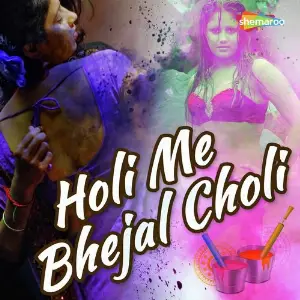 Holi Me Bhejal Choli image