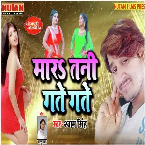 Maratani Gate Gate image