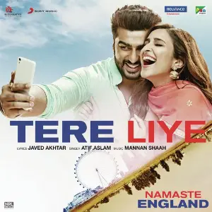 Tere Liye image