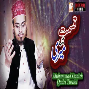 Tajdar E Haram - Single image