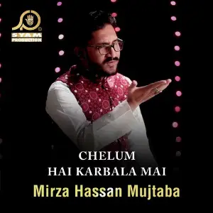 Chelum Hai Karbala Mai image