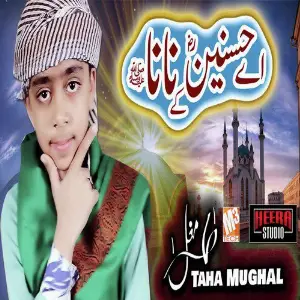 Aey Hasnain Ke Nana - Single image