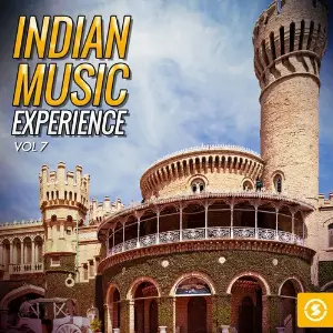 Indian Music Experience, Vol. 7 image