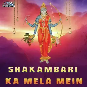 Shakambari Ka Mela Mein image