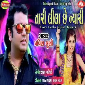 Tari Leela Chhe Nyari image