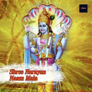 Shree Narayan Naam Mala image