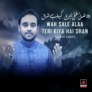 Wah Sale Alaa Teri Kiya Hai Shan image