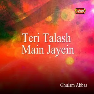 Teri Talash Main Jayein image