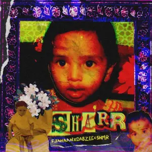 SHARR image