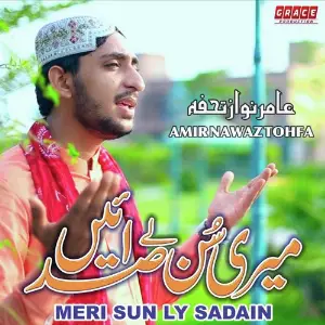 Meri Sun Ly Sadain image