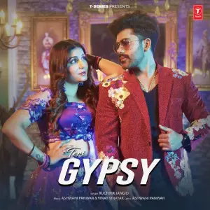 Teri Gypsy image