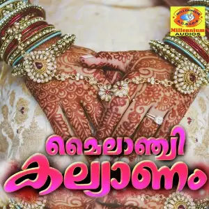 Mylanchi kalyanam image