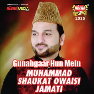 Gunahgaar Hun Mein image