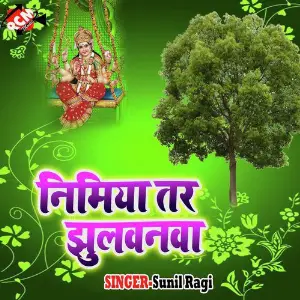 Kab Aibu Maiya Nirdhan Beta Ke Ghare image