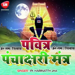 Divine  Panchakshari  Mantra  ( Om Namah Shivay ) image