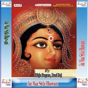 Jai Maa Sitla Bhawani image