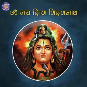 Om Jai Shiv Vishwanath image