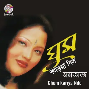Ghum Kariya Nilo image