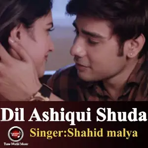 Dil Ashiqui Shuda image