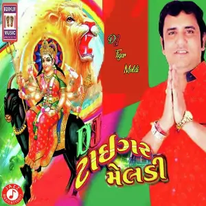 DJ Tiger Meldi image