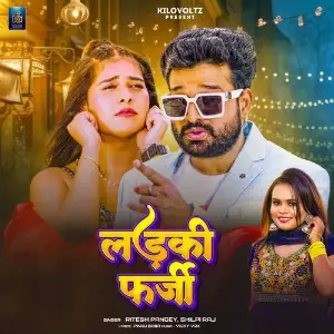 Ladki Farzi image