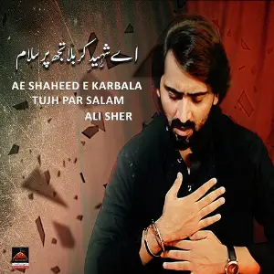Ae Shaheed e Karbala Tujh Par Salam image