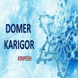 Domer Karigor image