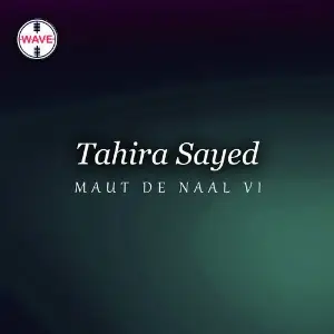 Maut De Naal Vi image