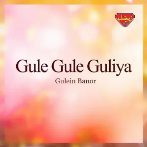 Gule Gule Guliya image