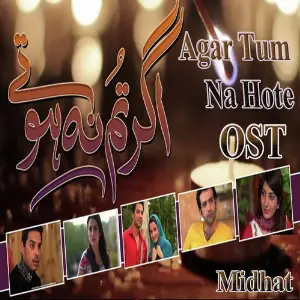Agar Tum Na Hote (From Agar Tum Na Hote) image