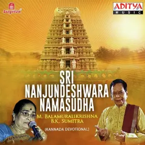 Sri Nanjundeshwara Namasudha image