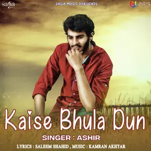 Kaise Bhula Dun image