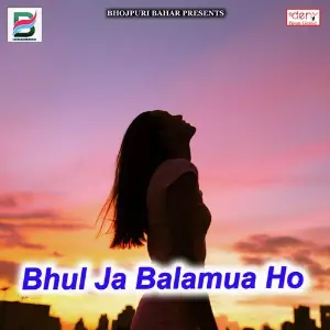 Bhul Ja Balamua Ho image