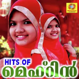 Hits Of Mehrin image