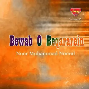 Bewab O Beqararein, Vol. 35 image