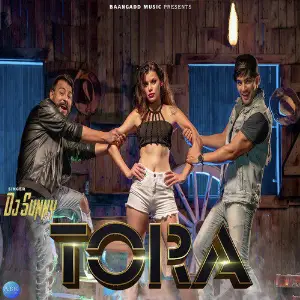Tora image