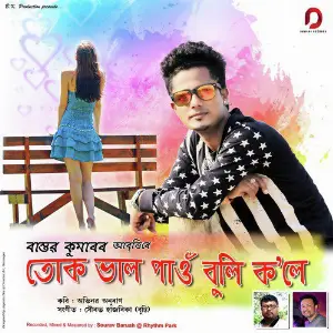 Tuk Bhal Pau Buli Kole - Single image