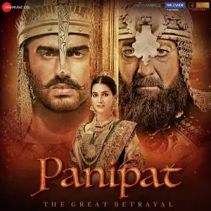 Panipat image
