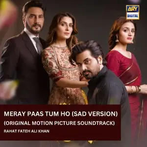Meray Paas Tum Ho - OST - Sad Rahat Fateh Ali Khan