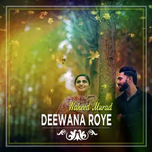 Deewana Roye - Single image
