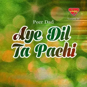Aye Dil Ta Pachi, Vol. 36 image